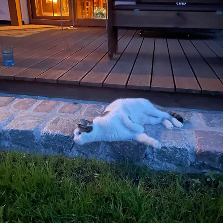 Smokowo * ゴウビエ