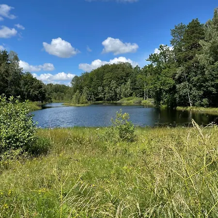 Smokowo غولوبي