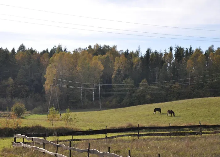 Smokowo Дом отдыха *